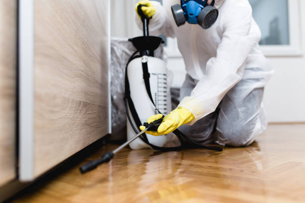 Best Flea Control Services  in Ara, AL