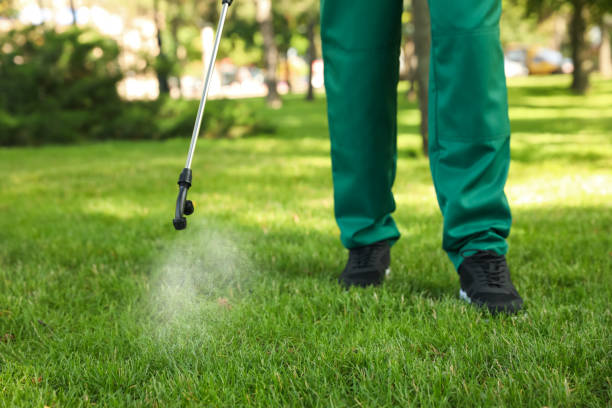 Best Mosquito Control Services  in Ara, AL