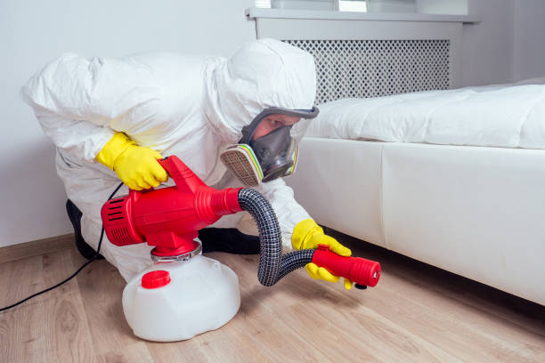 Best Local Pest Control Services  in Ara, AL