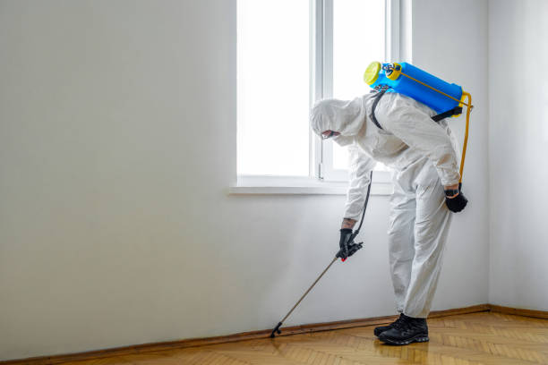 Best Pest Inspection Near Me  in Ara, AL