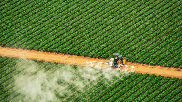 Reliable Ara, AL Pest Control Solutions