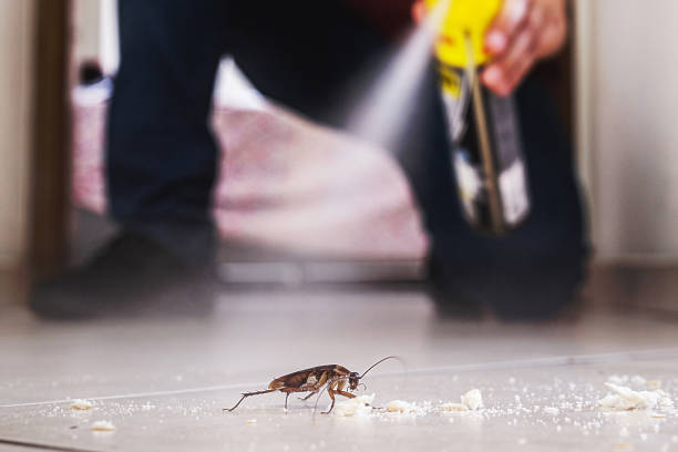 Best Pest Removal Services  in Ara, AL